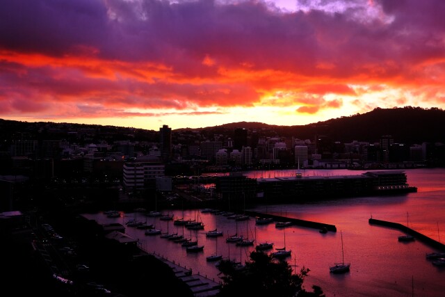 Stunning Wellington Originals