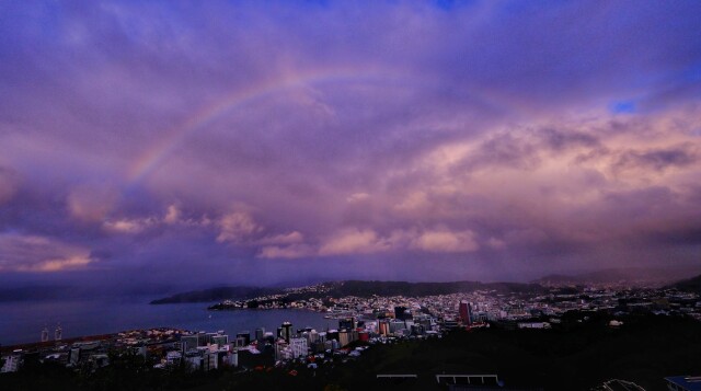 Wellington Fine Art 2026