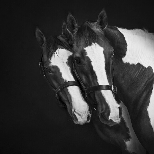 Father and Son 