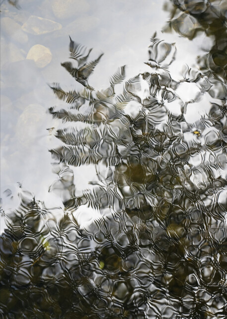 Silver Reflection