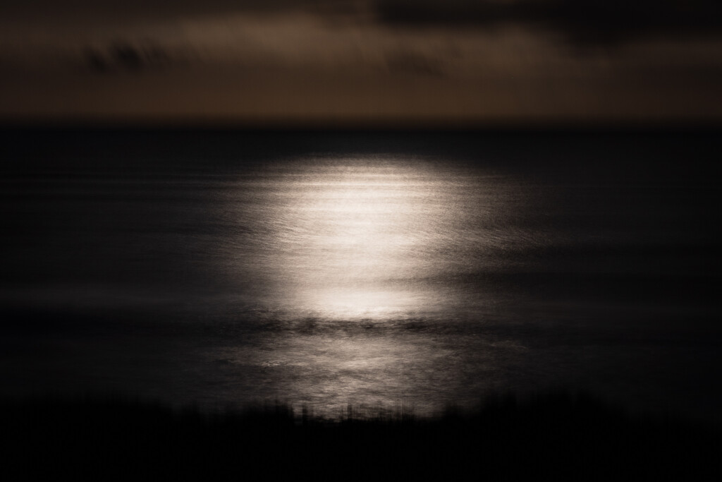 Night of a Full Moon