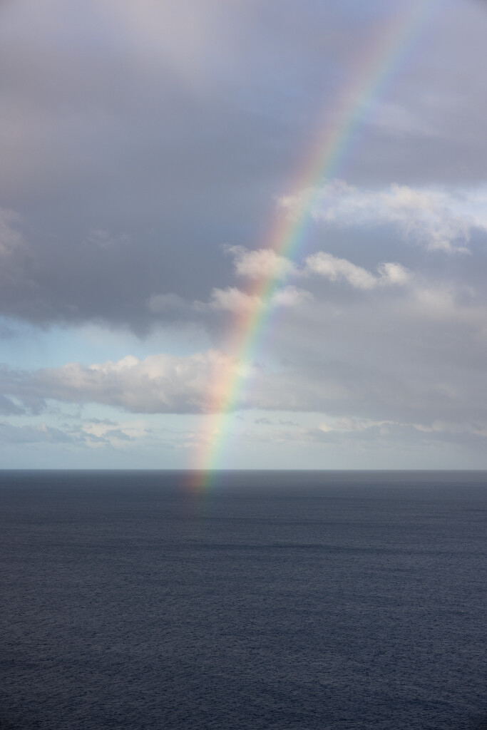 In Light of Hope