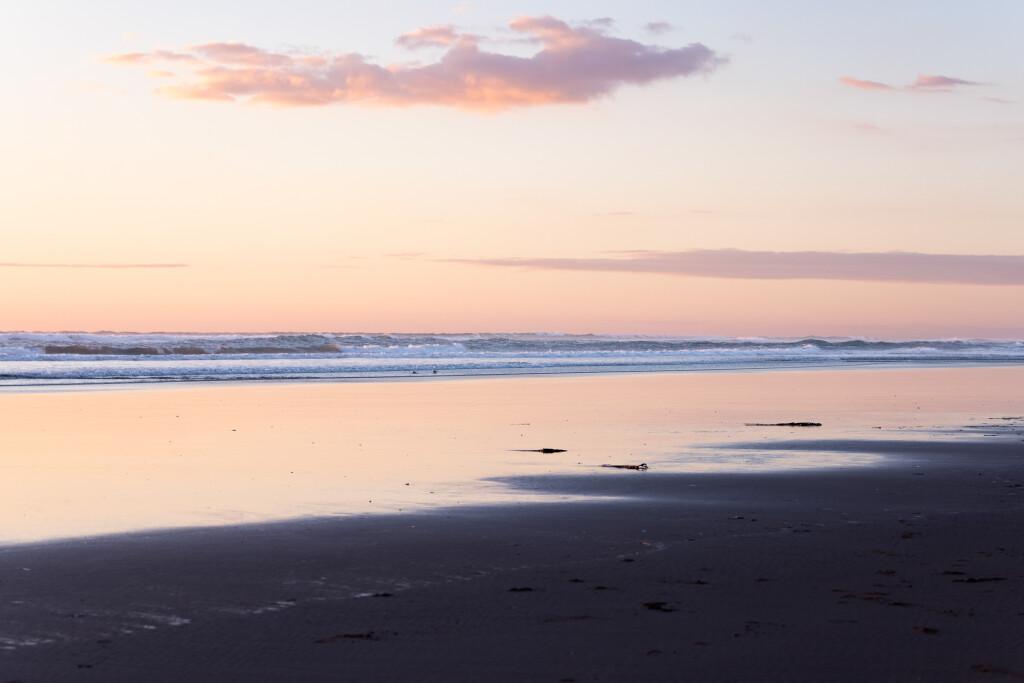 Muriwai Highlight