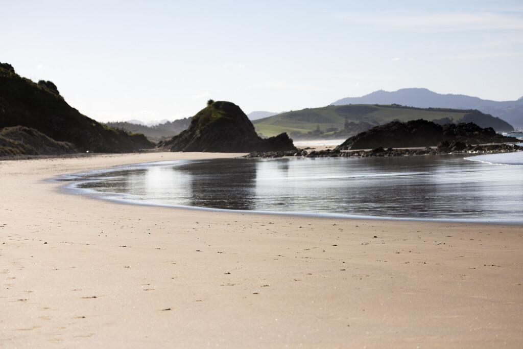 Tāwharanui Summer