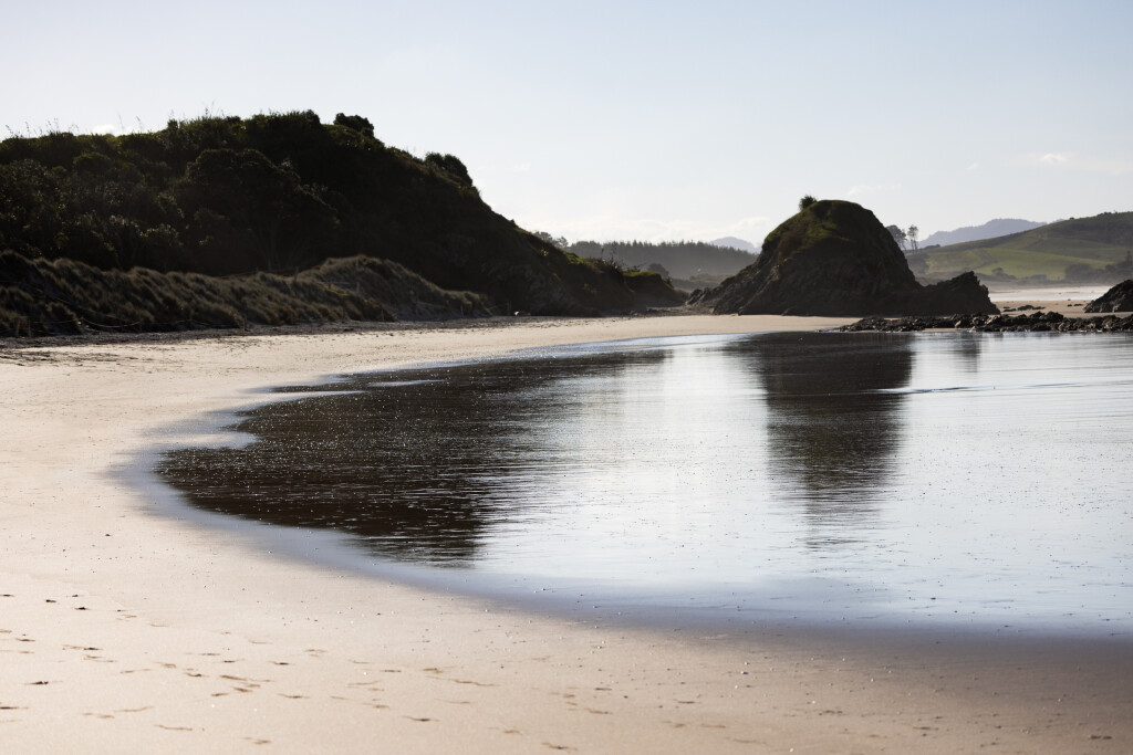 Tāwharanui Reflections