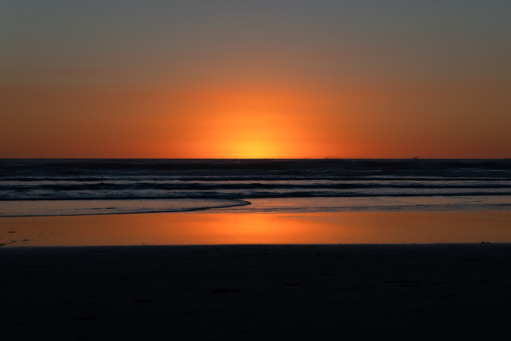 Muriwai Magic