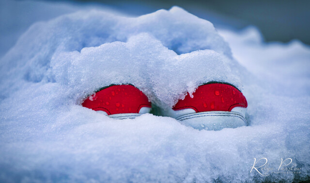 Sneakers in the Snow