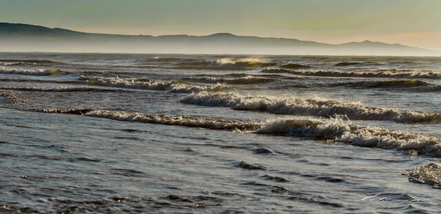 Waves 7