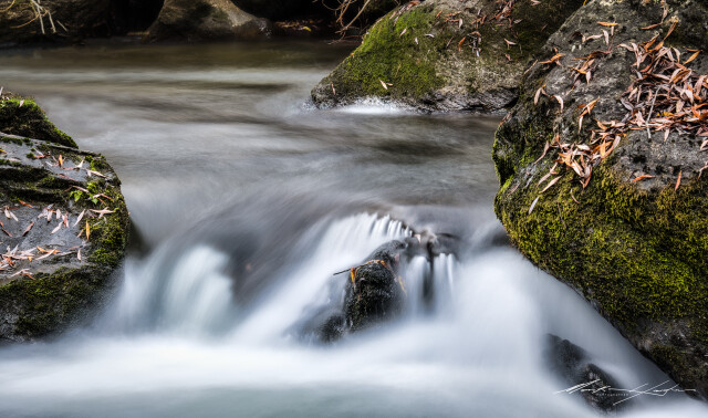 Luggate Creek 3