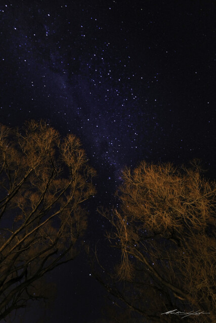 Night Sky 2