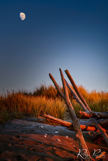 Sunrise at Waikuku Beach