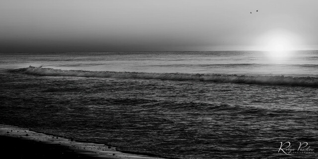 Waves 2