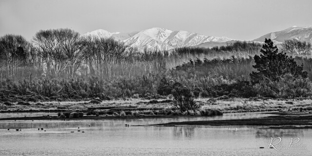 Ashley River Reserve 3