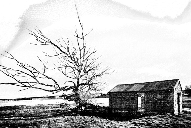 Shed 1