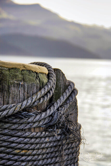 Akarora Wharf Rope
