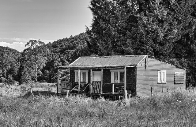 Country Life 1