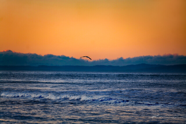 Waves 5