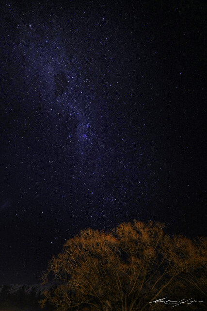 Night Sky 1