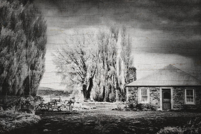 Country Life 2