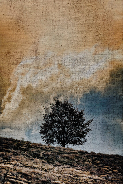 Tree 1