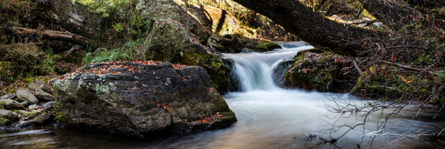 Luggate Creek 5
