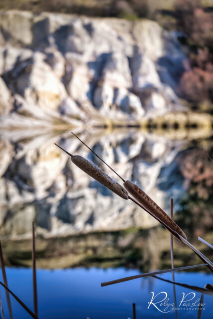 St Bathans 10