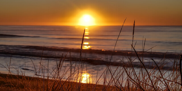 Waves 3
