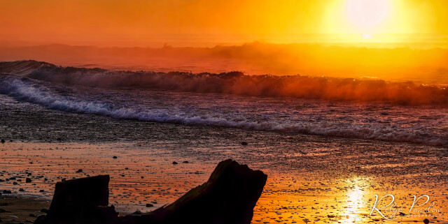 Waves 6