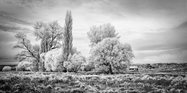 Hoare Frost Cottage