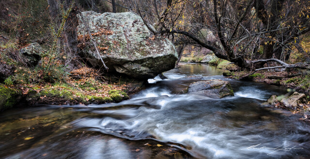 Luggate Creek 2