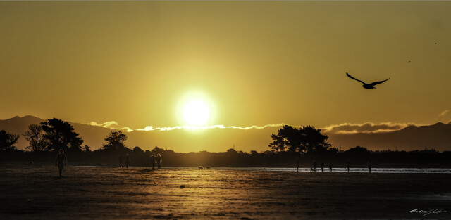 Sumner Bay, Sunset 