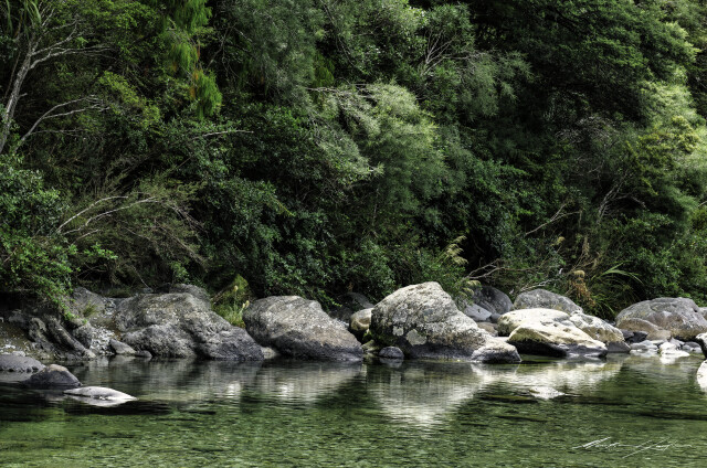 Peloros Bush and Rocks