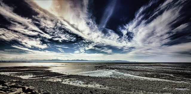 Nelson Shoreline 