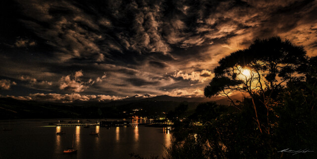 Akaroa Night