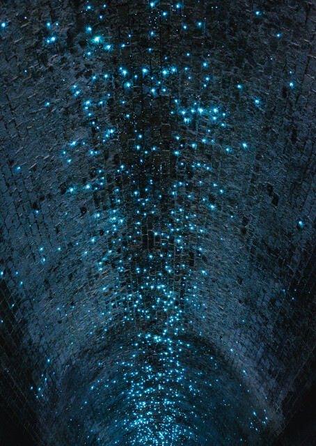 Tunnel of Stars