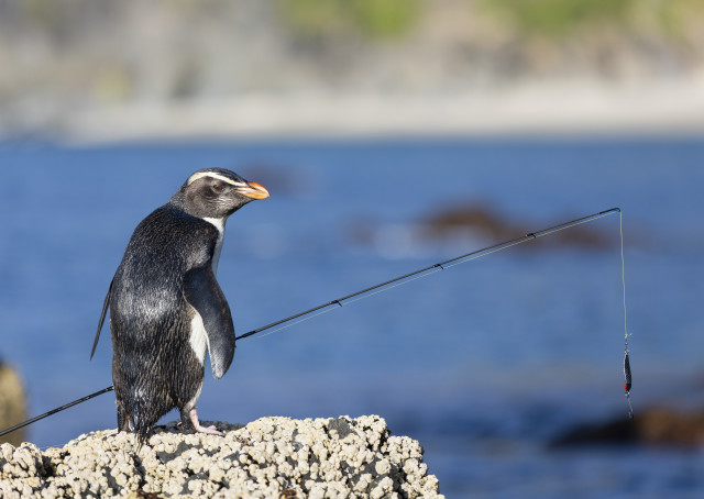 Gone Fishing