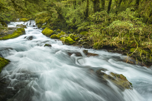 Marian Creek, Fiordland