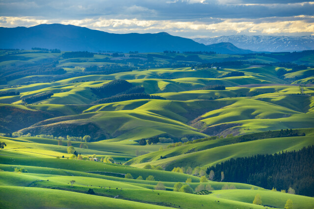 Southland Farmland