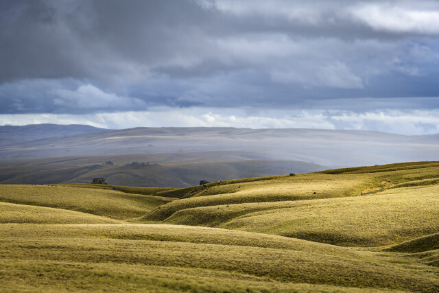 Lammermoor Range