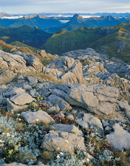 Mt Owen Limestone
