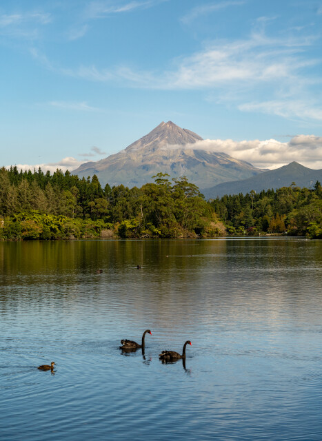 Taranaki Calm: New Zealand