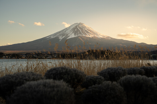 Mt Fuji at Dusk: Japan 