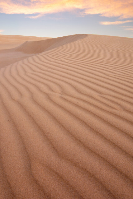 Line in the Sand