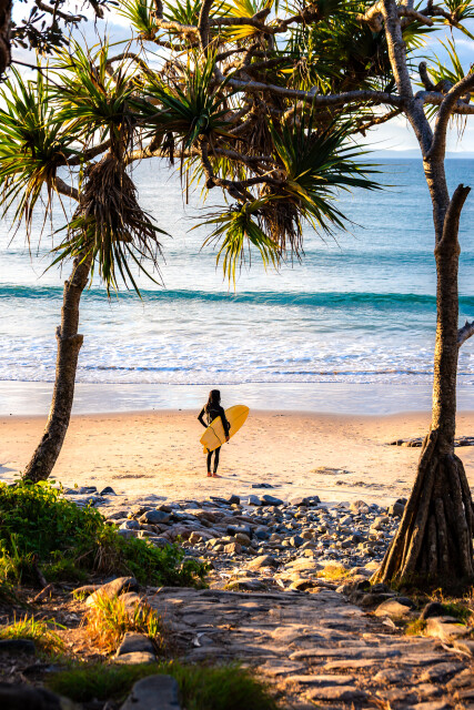 Noosa Surfer