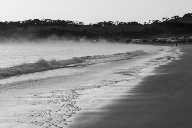 Winter Shore