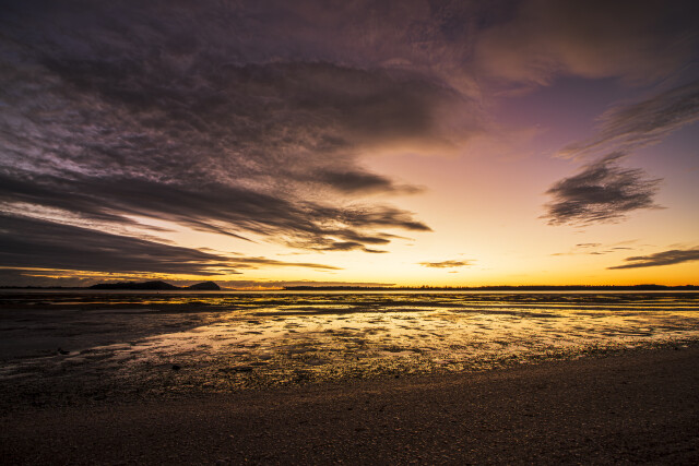Light Across the Shore