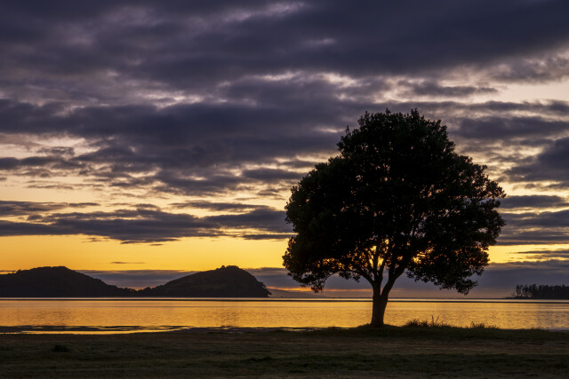 Waiting for Sunrise