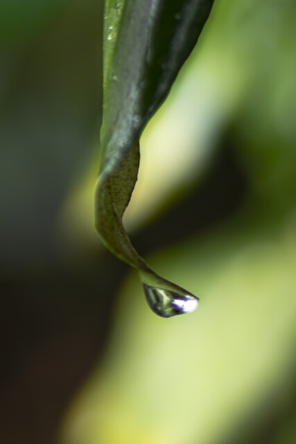 After Rain