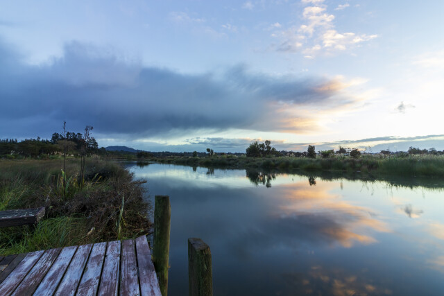 Morning Reflection