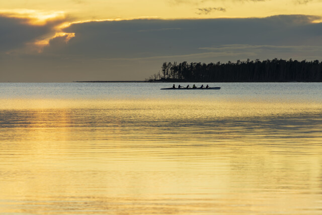 Gliding Through Light 